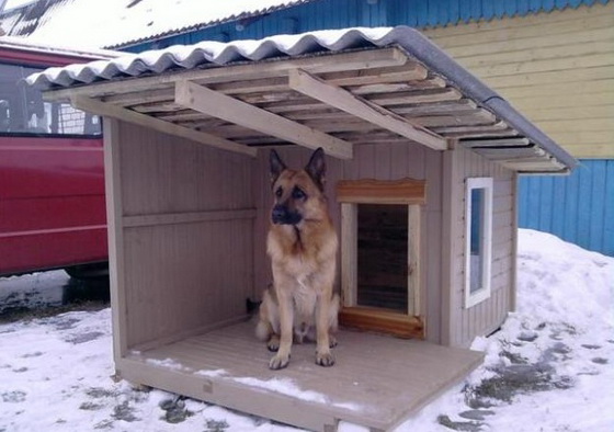 Правильное утепление будки для собаки на зиму 3